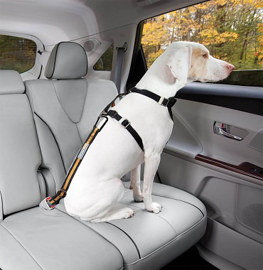 Bezpečnostní autopás pro psa s upínacím mechanismem Kurgo Direct to Seatbelt Tether