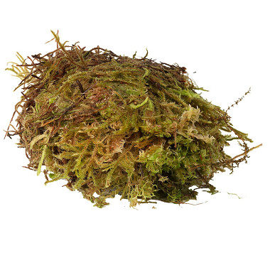 HabiStat Sphagnum Moss 1kg