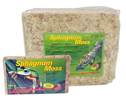 Lucky Reptile Sphagnum Moss - rašeliník 500g